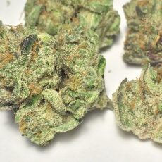 girls-scout-cookies